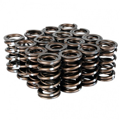 Skunk2 Alpha Series Honda D Series VTEC Valve Spring Set