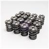 Skunk2 Alpha Series Honda/Acura K Series Valve Spring and Titanium Retainer Kit