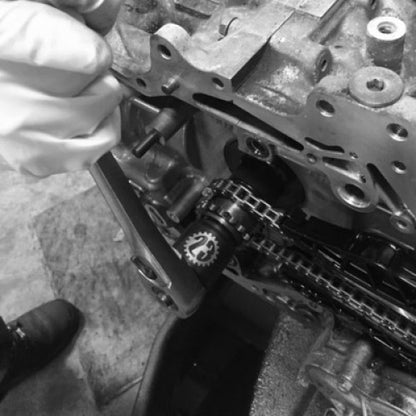 Company23 - Crankshaft Socket - 527